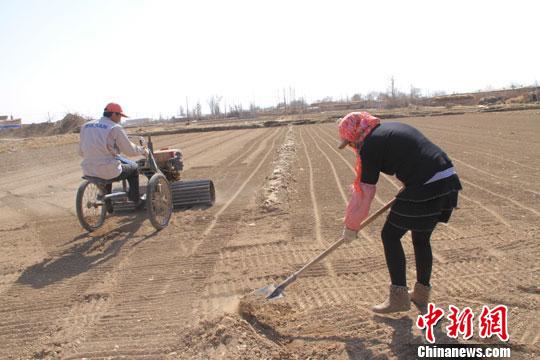 甘肃张掖农民春耕时节使用新农具压地保墒