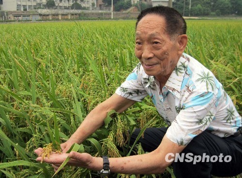 袁隆平批印度水稻单产纪录造假:并无实地验收数据