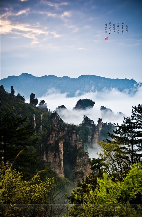 雨水沐浴张家界