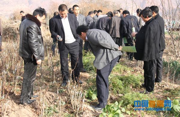 马街镇人口_走马街镇人民政府