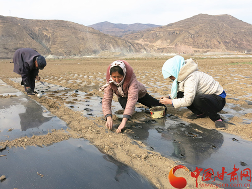 定西市岷县gdp_夏天的甘肃,这些地方美哭你(2)