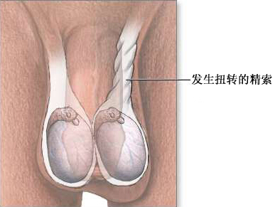 健康频道_中国甘肃网--守护您的健康