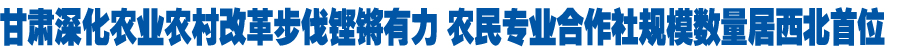 甘肃深化农业农村改革步伐铿锵有力 农民专业合作社规模数量居西北首位