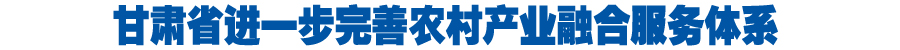 甘肃省进一步完善农村产业融合服务体系