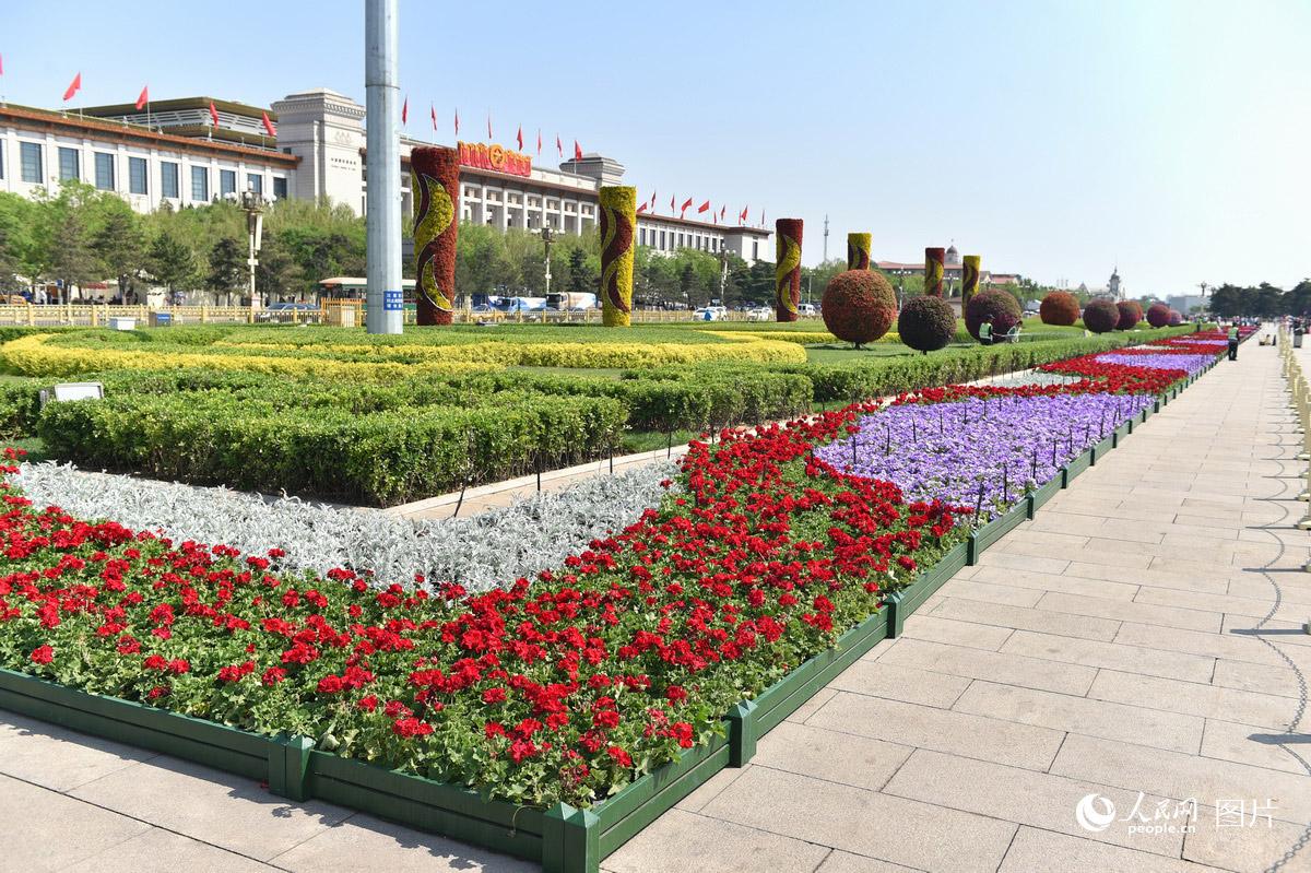 北京天安门广场装扮一新 花团锦簇喜迎"五一"