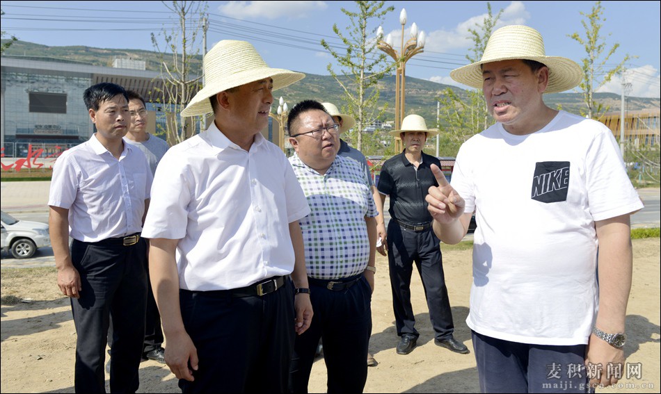 天水市委副书记、市长王军调研麦积区全面落实河长制工作情况