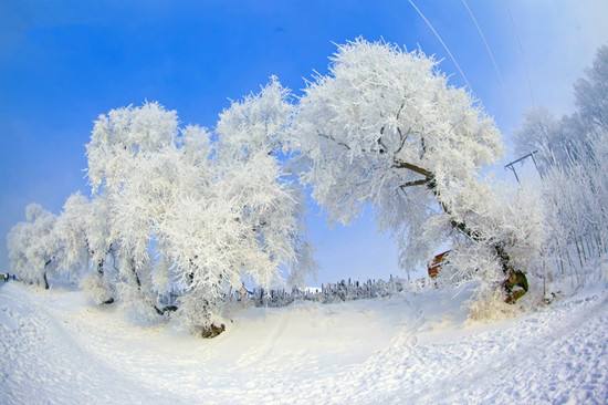 冰雪人口_2021冰雪产业报告 冰雪人口骤降 旅游成新增长点(2)