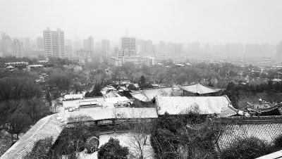 甘肃省多地迎来新年第一场雪（图）