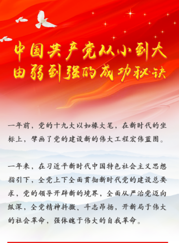 伟大工程启新局——党的十九大以来治国理政系列评述“治党篇”