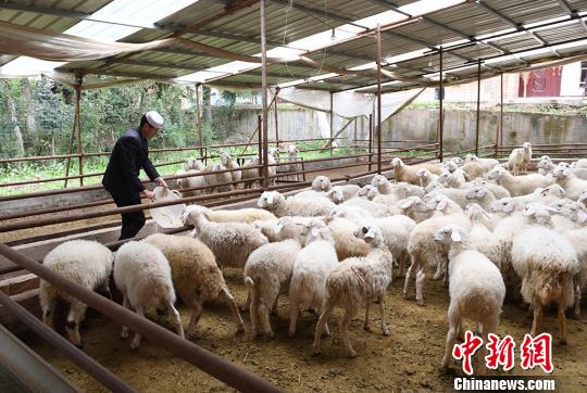 中国那个省人口最穷_2021全国最穷的省份排名_中国美女第一大省(2)