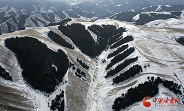 【环保】张掖肃南：既要绿水青山 亦要金山银山