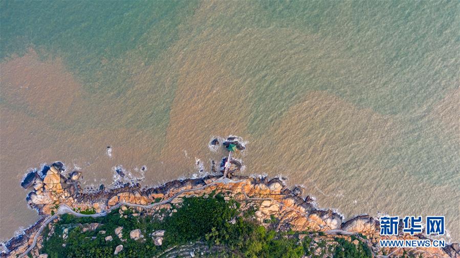 爱巷倾情 桥牵三地——走进“澳门新八景”