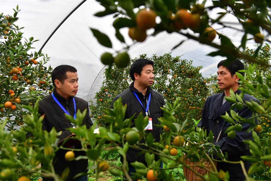 （新华全媒头条·图文互动）（8）以优良作风凝聚决战决胜磅礴力量——2019年以习近平同志为核心的党中央贯彻执行中央八项规定、推进作风建设纪实