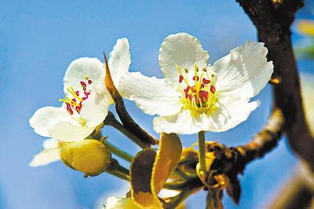 【陌上花开】陇原花开待君赏