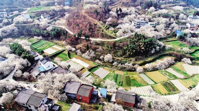 来自湖北田间地头的报道——惊蛰荆楚听春声