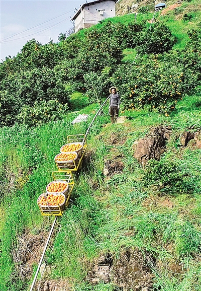 来自湖北田间地头的报道——惊蛰荆楚听春声