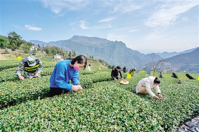 来自湖北田间地头的报道——惊蛰荆楚听春声