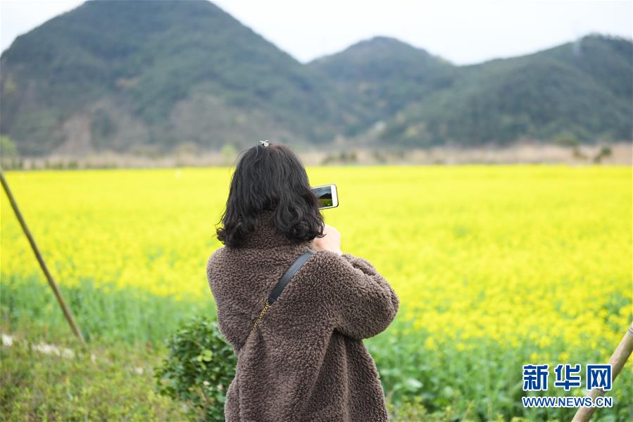 （生态）（1）油菜花开布谷湖