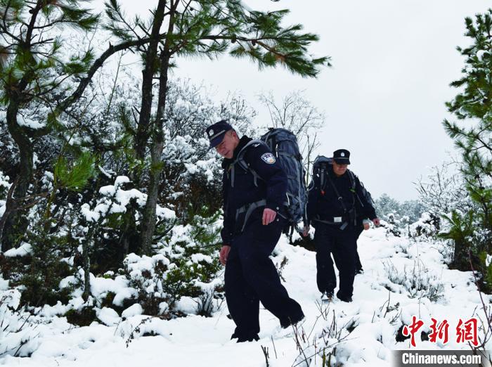 图为森林公安突击队在山中巡逻。　云南省森林公安局供图 摄