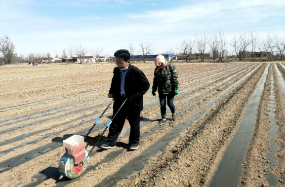 正值春暖花开的季节,在武威市民勤县,农民们正赶抢农时,忙着春播春种