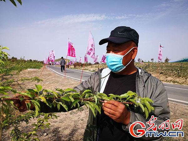 昔日荒山垃圾场 今日万亩生态园