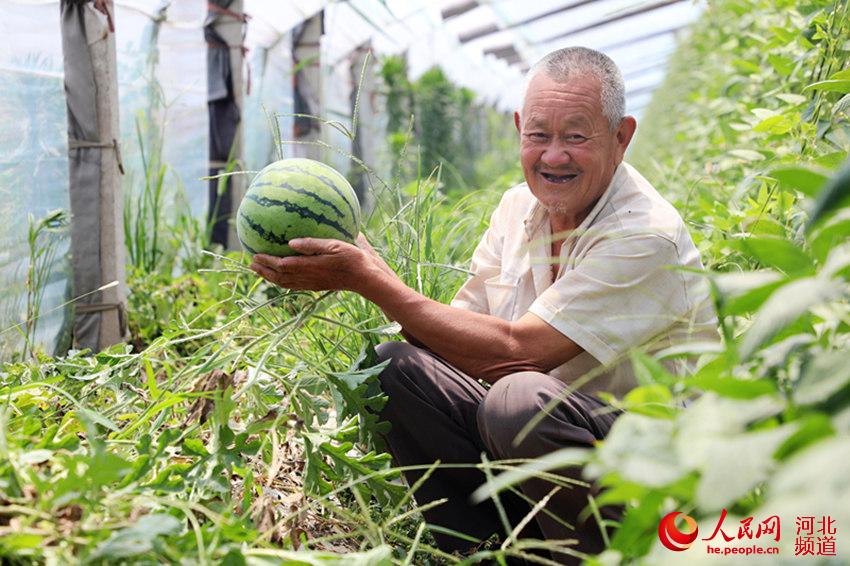 村民种植的西瓜喜获丰收。 姚友谅摄