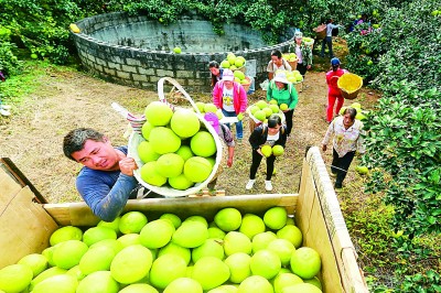 广西：打好“组合拳” 壮大“新动能”