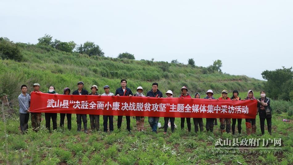 【走向我们的小康生活】武山县鸳鸯镇:发展中药材产业