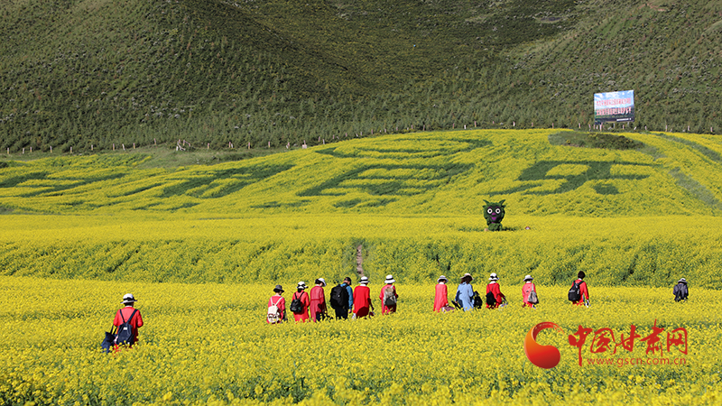 七月正是民乐扁都口生态旅游景区油菜花盛放的时节,各样景观都以最美