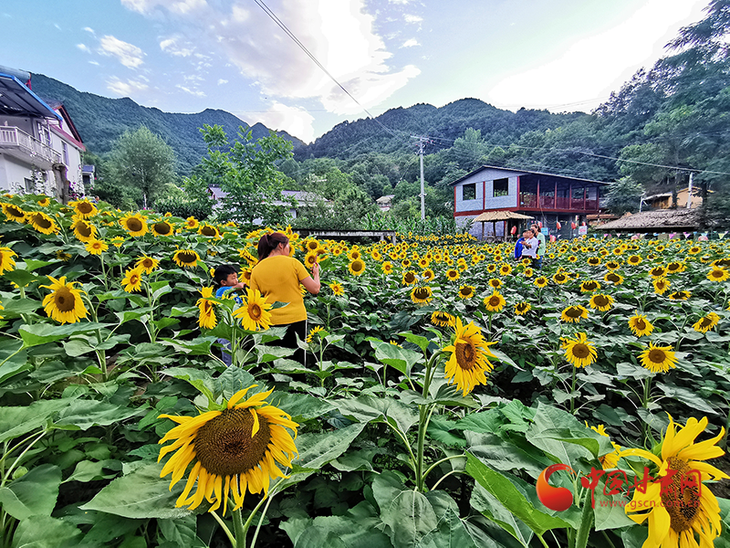 康县:美丽乡村全域旅游 带动乡村济稳步发展