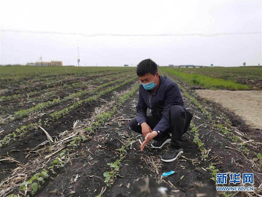 （在习近平新时代中国特色社会主义思想指引下——新时代新作为新篇章·习近平总书记关切事·图文互动）（4）让百姓吃得饱还要吃得好——夯实粮食安全基础端牢中国饭碗