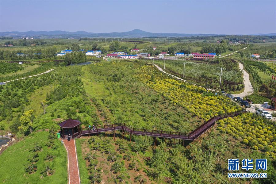 （新华全媒头条·走向我们的小康生活·图文互动）（16）黑土地上是我家——在吉林，一瞥中国东北乡村美丽未来