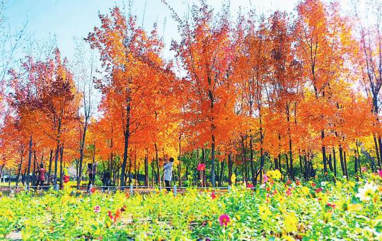 长春百花园秋意盎然