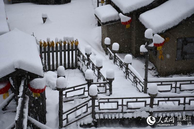 立冬日 大雪飘落中国雪乡