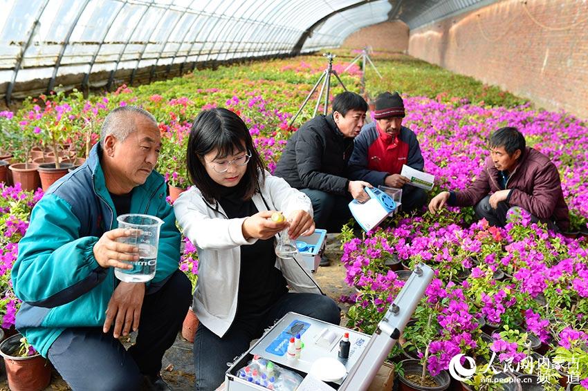 鄂尔多斯市准格尔旗大路镇科技人员为苗家滩社区村民传授鲜花种植技术。