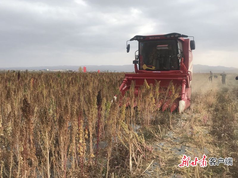 农业机械化,乡村产业振兴的"利器"——甘肃省特色产业