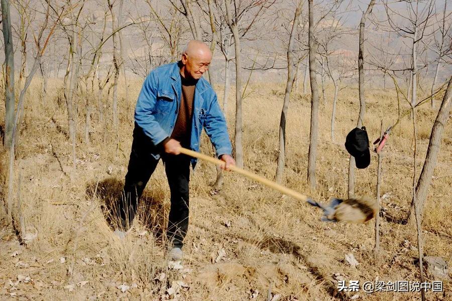 三十年如一日，兰州市榆中县青城镇金学义植树造林保护生态环境。