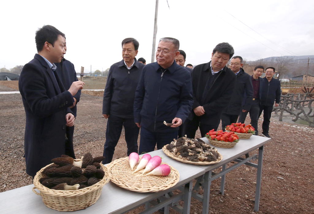 开拓进取促振兴——记武山县洛门镇大柳树村党总支书记王进明