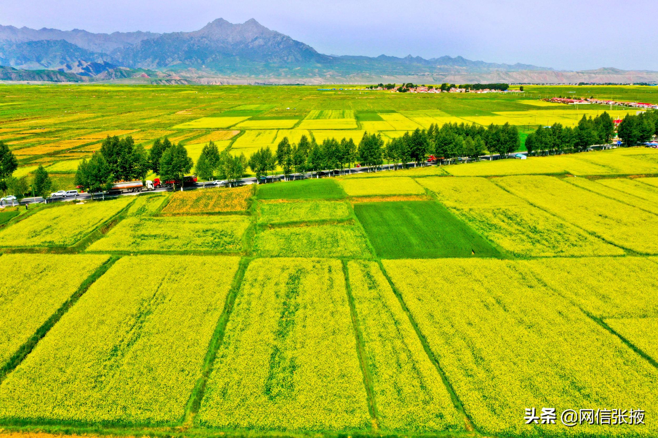 甘肃张掖：美丽乡村入画来