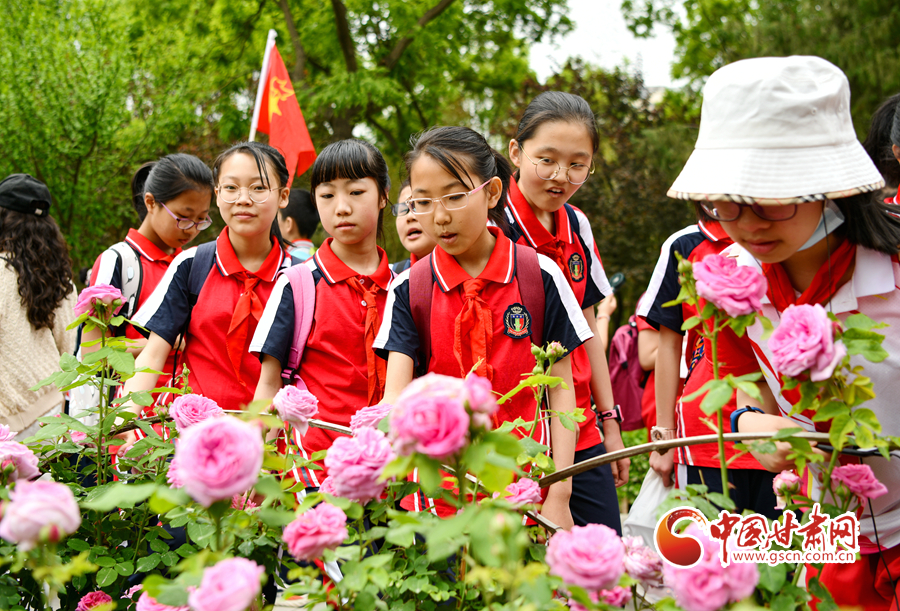 甘肃省2021年下半年中小学教师资格考试（笔试）9月2日起报名