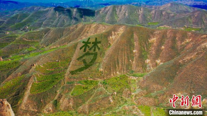 图为榆中县荒山遍绿植。　 彭昱 摄