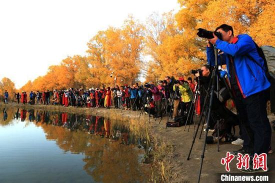 图为金塔县境内的沙漠胡杨林景区吸引大批游客前来旅游。(资料图) 白胜义 摄