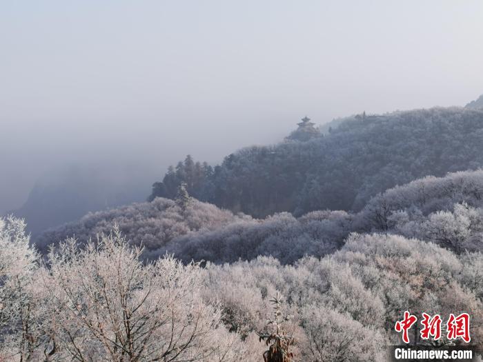 图为连绵山脉，皆是白色。　徐振华 摄