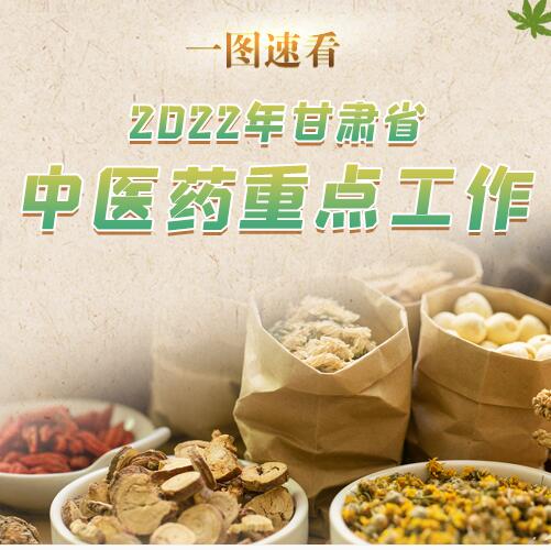 图解|2022年甘肃省中医药如何发展？重点工作来啦