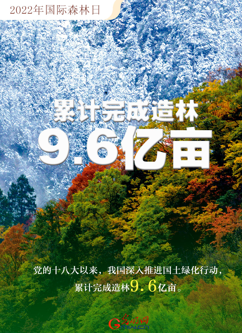 【海报】2022国际森林日：数读全球增绿的中国贡献