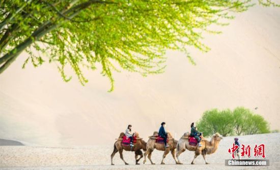 4月4日，游人在敦煌鸣沙山月牙泉景区骑骆驼游玩。 王斌银 摄