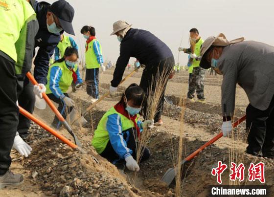 甘肃敦煌推“互联网+义务植树”：为戈壁荒漠“披绿”注新力量