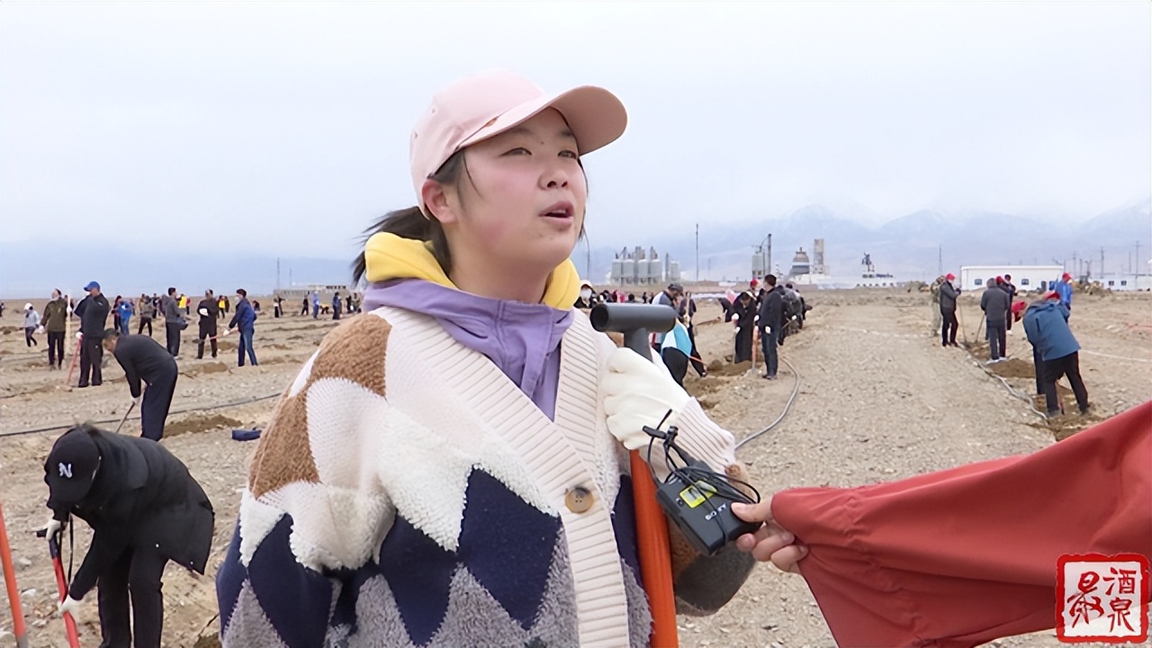 酒泉：植树造林添新绿 共建生态美好家园