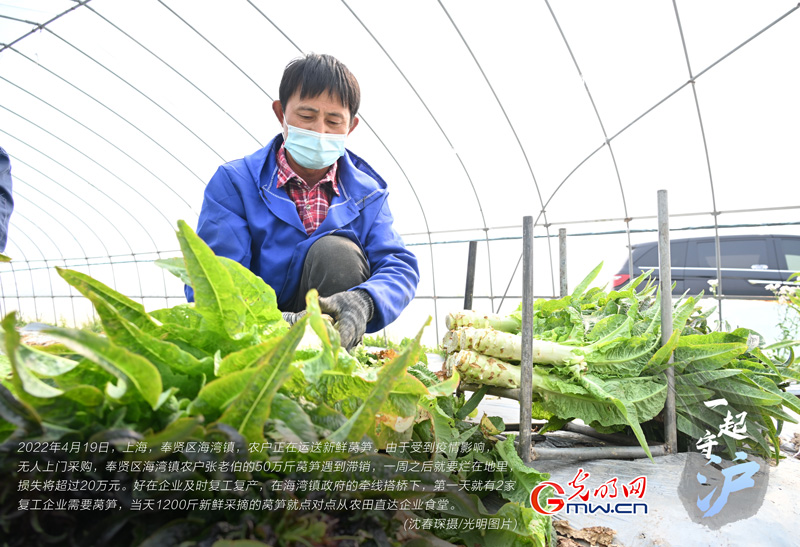 一起守“沪”|上海：企业复工复产 滞销蔬菜直接进食堂