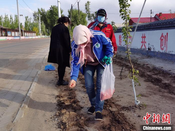 图为丛志杰在种花生。　胡建华 摄